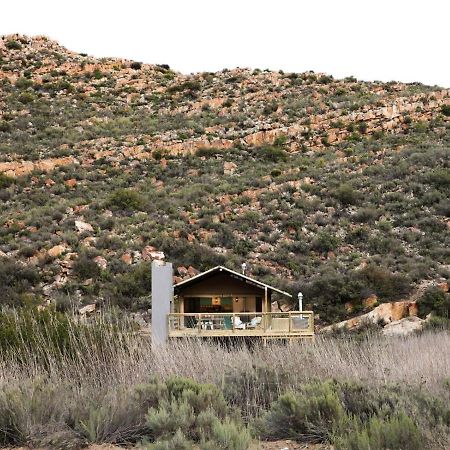Villa Africamps At Karoo 1 De Doorns Esterno foto