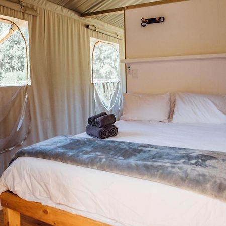 Villa Africamps At Karoo 1 De Doorns Esterno foto