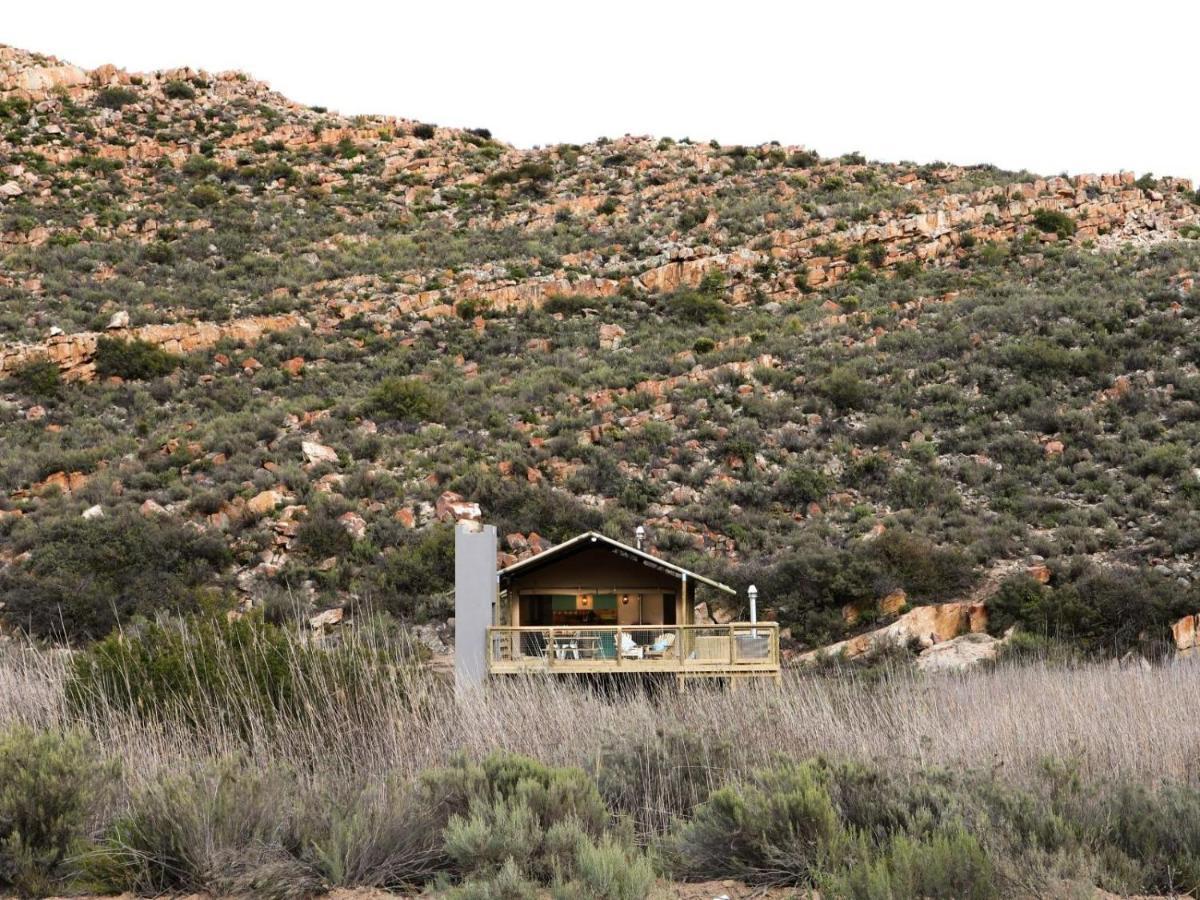 Villa Africamps At Karoo 1 De Doorns Esterno foto