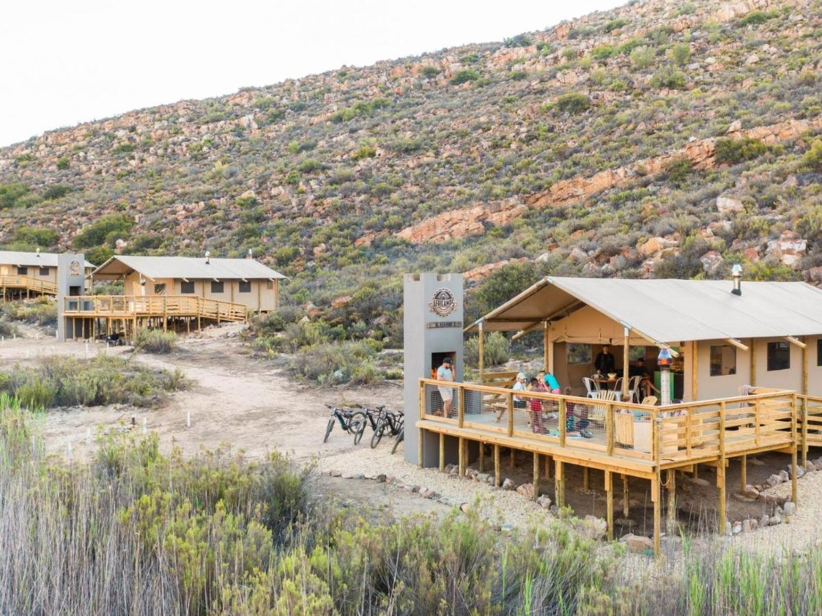 Villa Africamps At Karoo 1 De Doorns Esterno foto